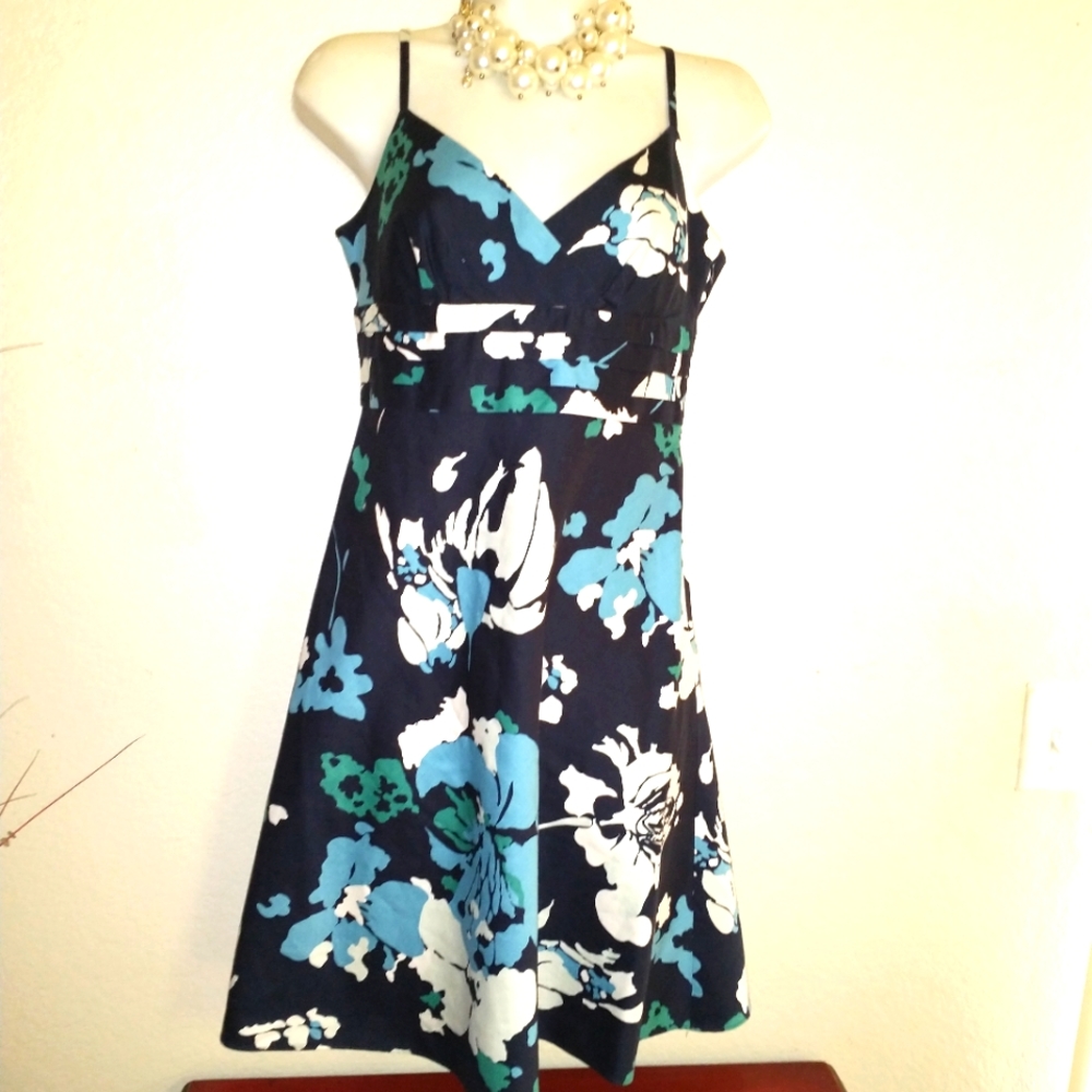 Ann Taylor Dress
